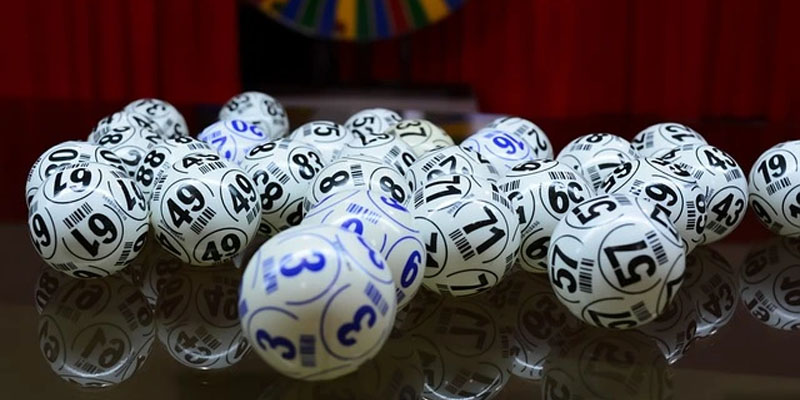 Tại sao nuôi dàn đề 20 số có thể không phù hợp với tất cả mọi người?